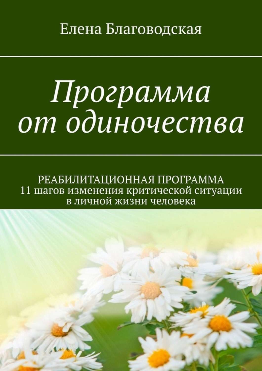 Обложка книги «Программа от одиночества. РЕАБИЛИТАЦИОННАЯ ПРОГРАММА. 11 шагов изменения критической ситуации в личной жизни человека»