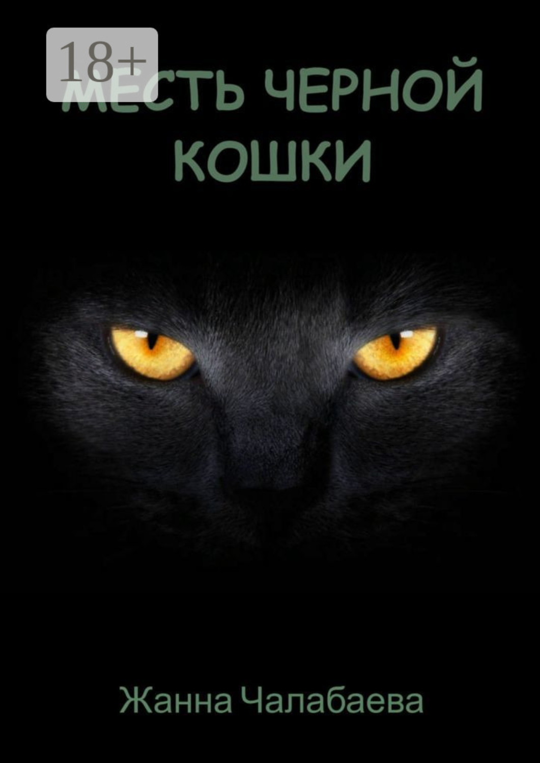 Обложка книги «Месть черной кошки»
