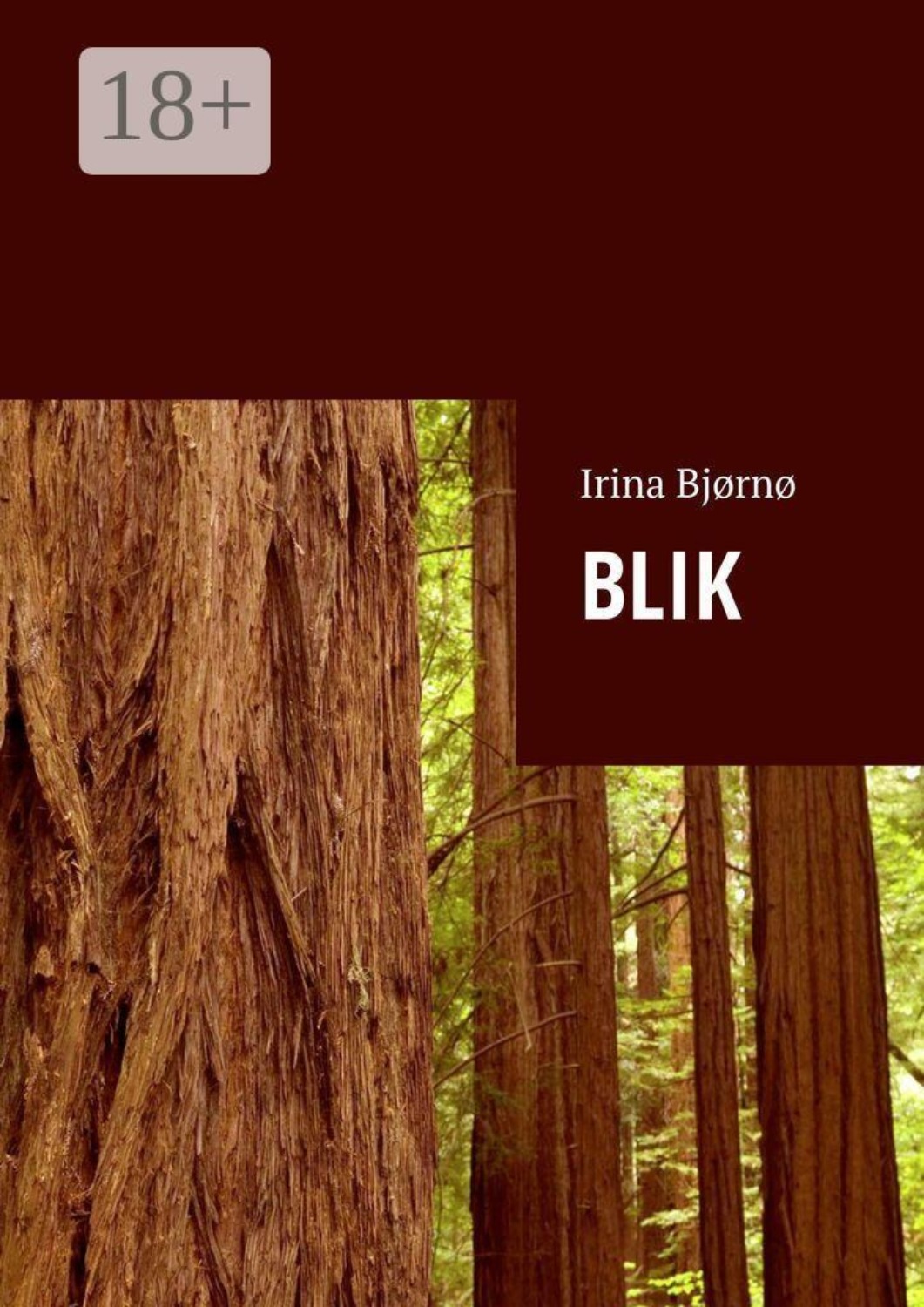 Обложка книги «Blik»