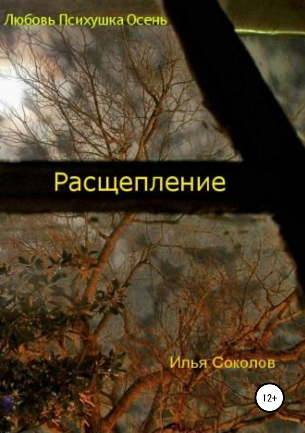 Обложка книги «Расщепление»