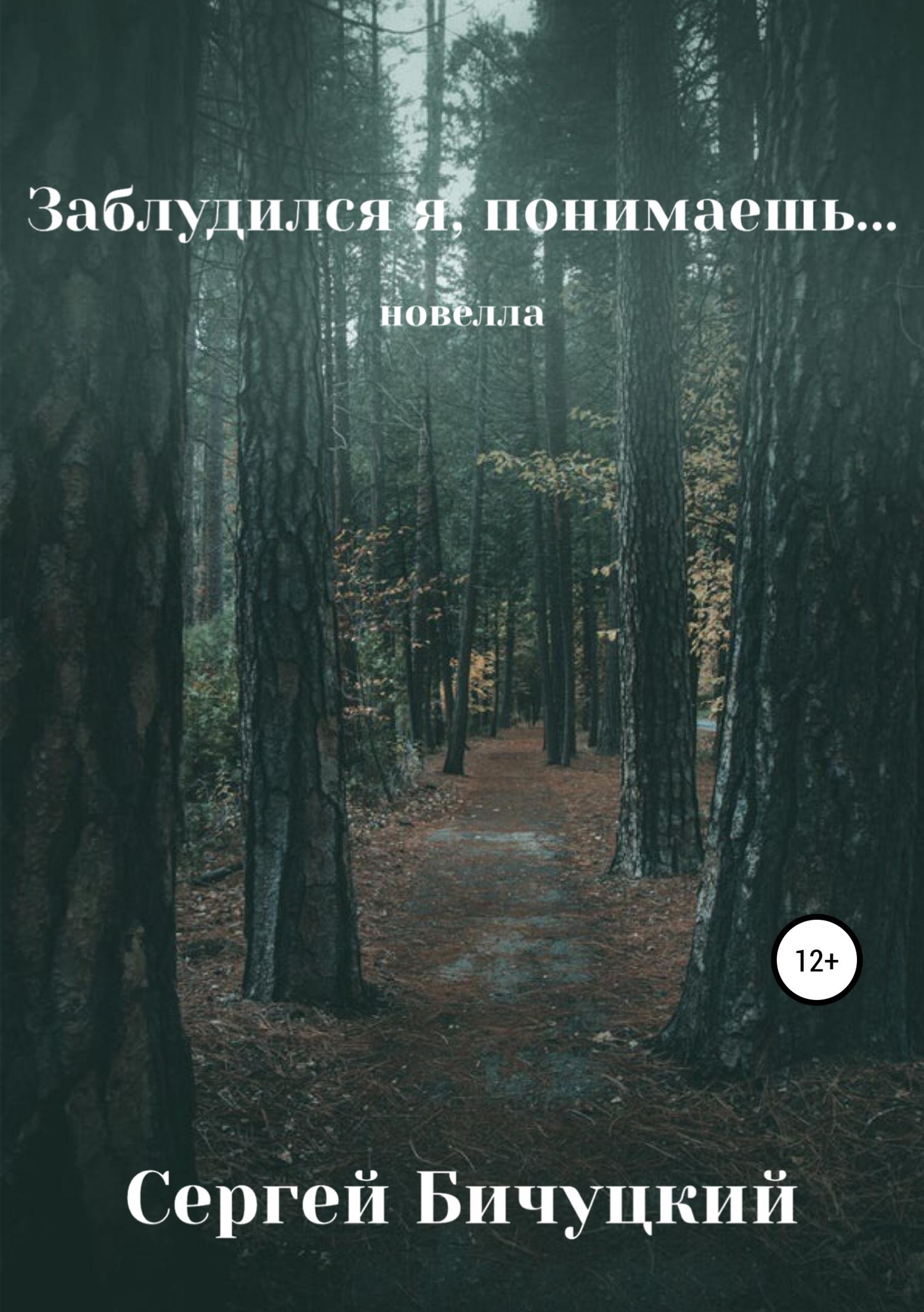 Обложка книги «Заблудился я, понимаешь…»