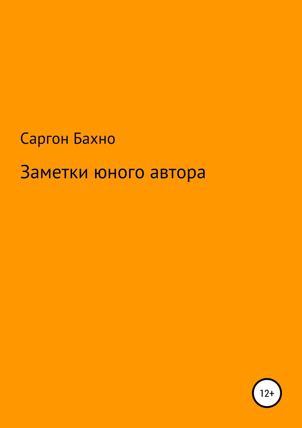 Обложка книги «Заметки юного автора»