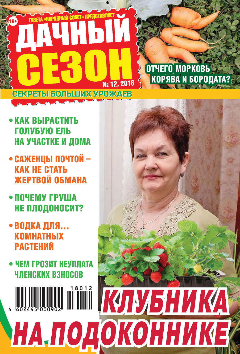 Обложка книги «Дачный сезон №12/2018»