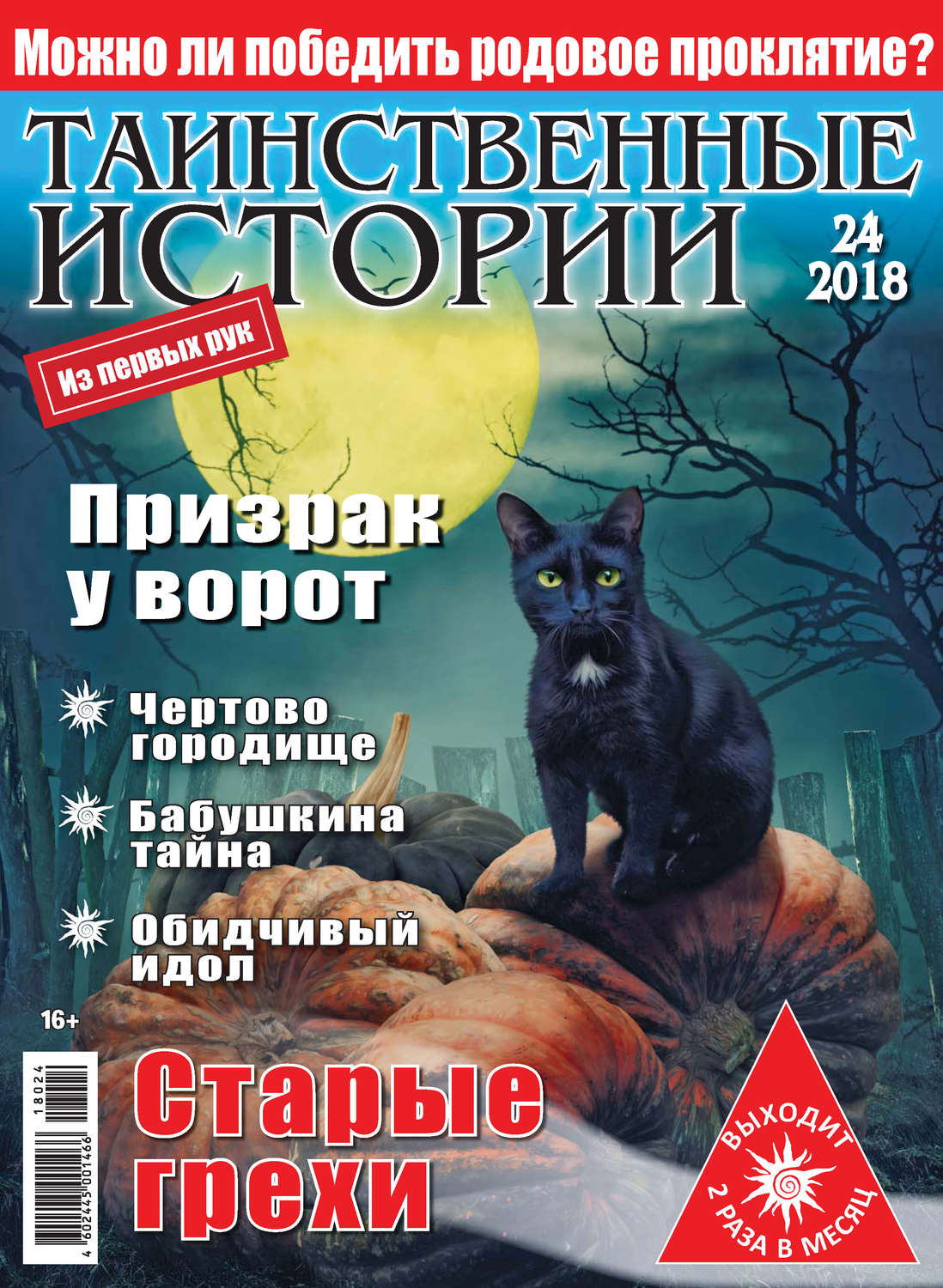 Обложка книги «Таинственные истории №24/2018»
