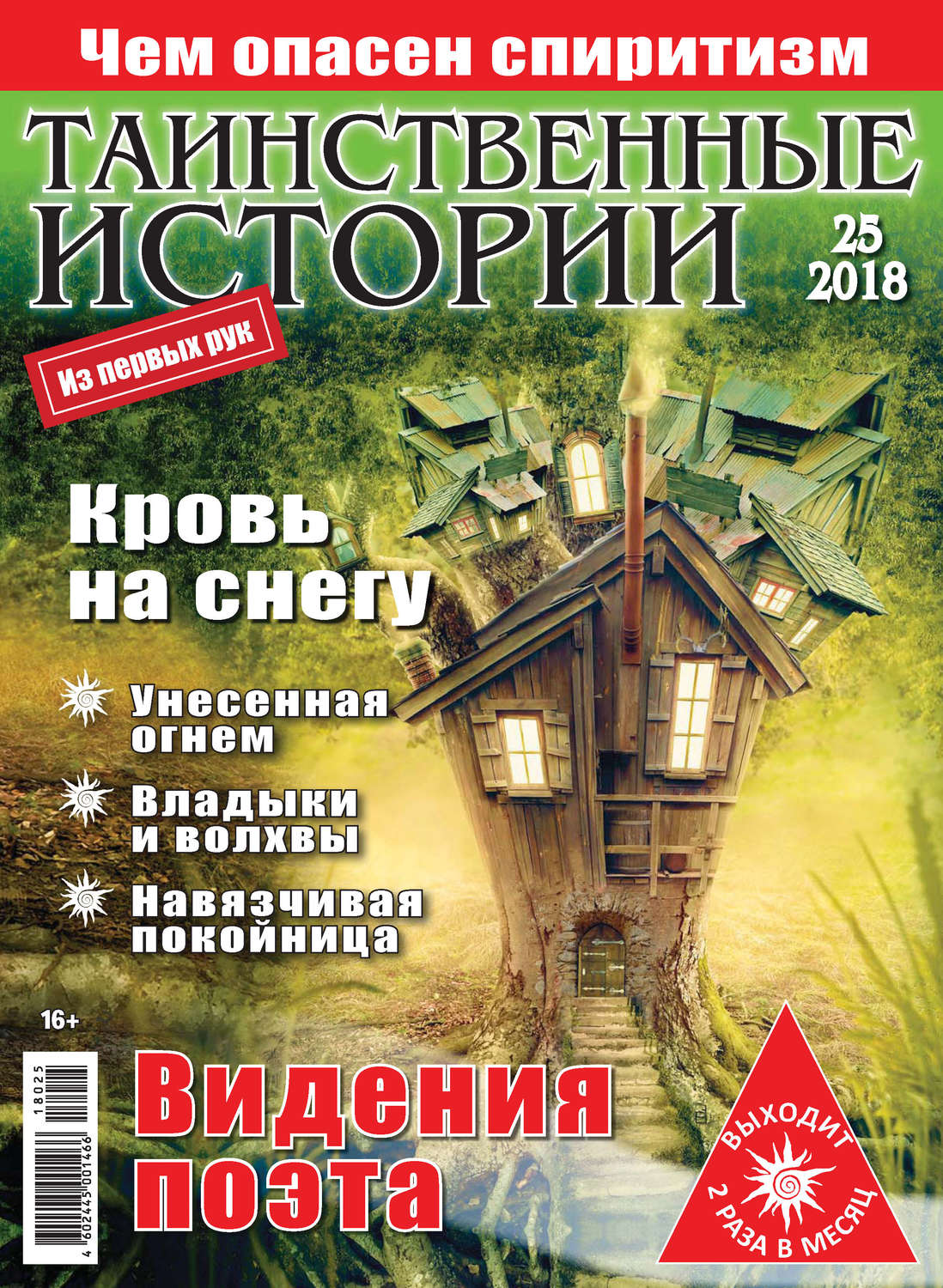 Обложка книги «Таинственные истории №25/2018»
