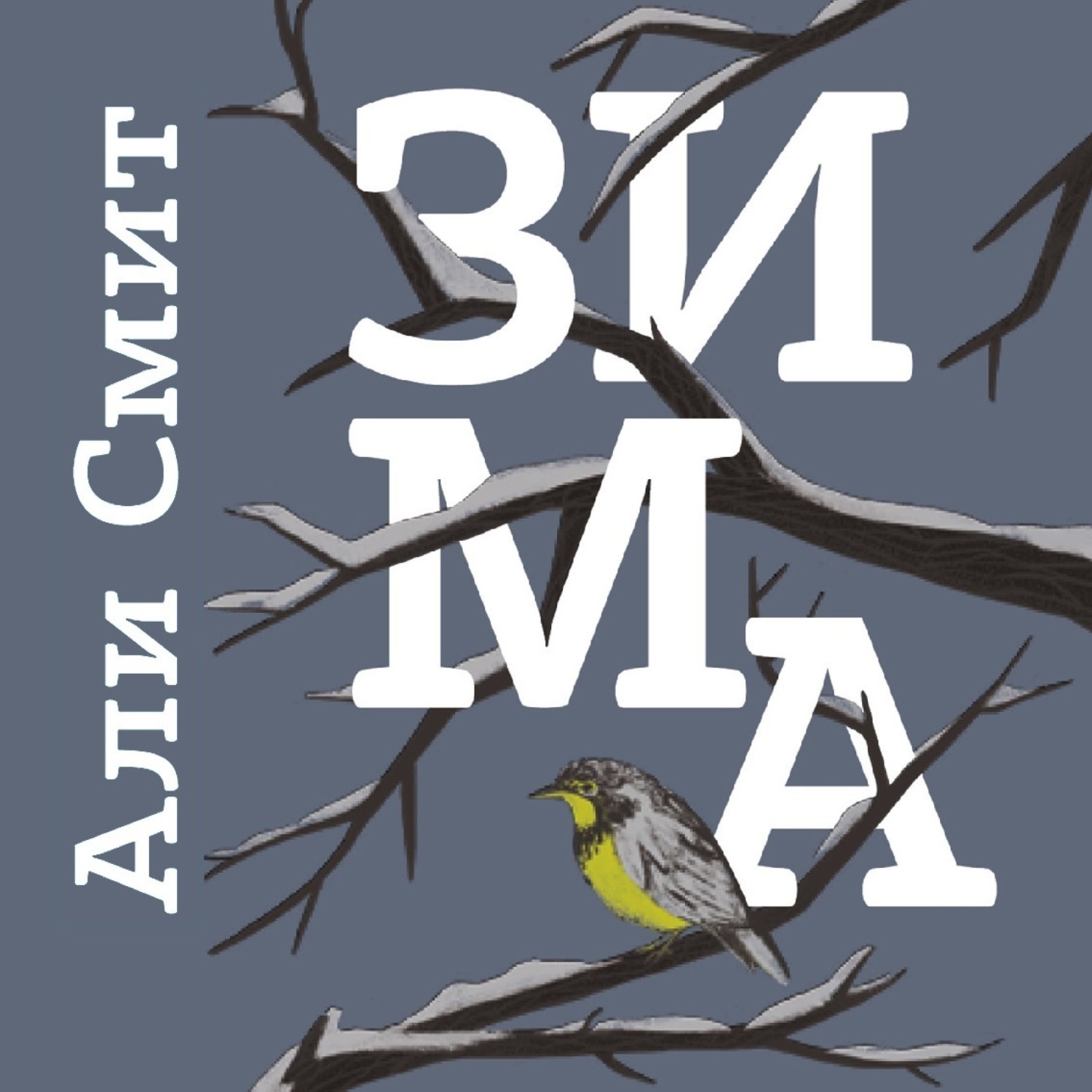 Обложка книги «Зима»