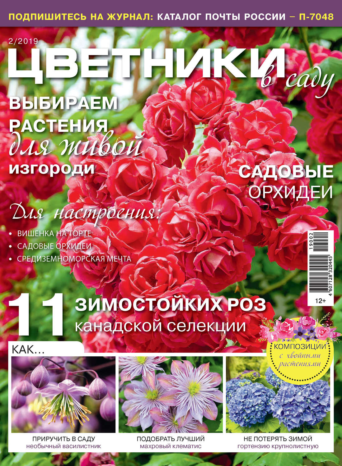 Обложка книги «Цветники в саду №02/2019»