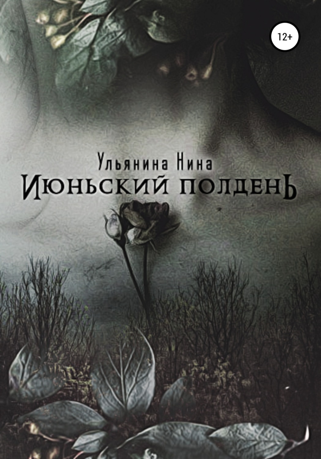Обложка книги «Июньский полдень»