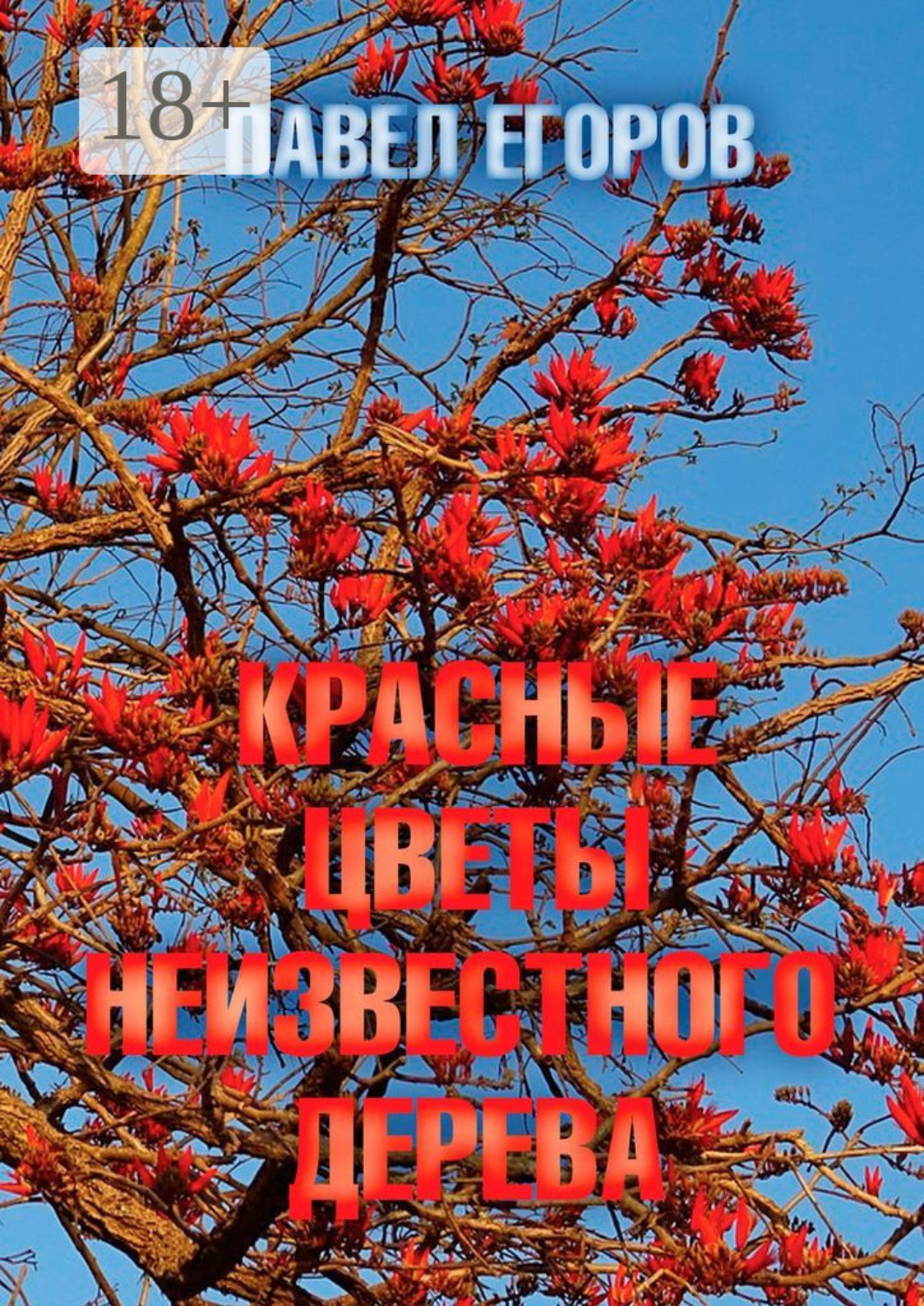 Обложка книги «Красные цветы неизвестного дерева»