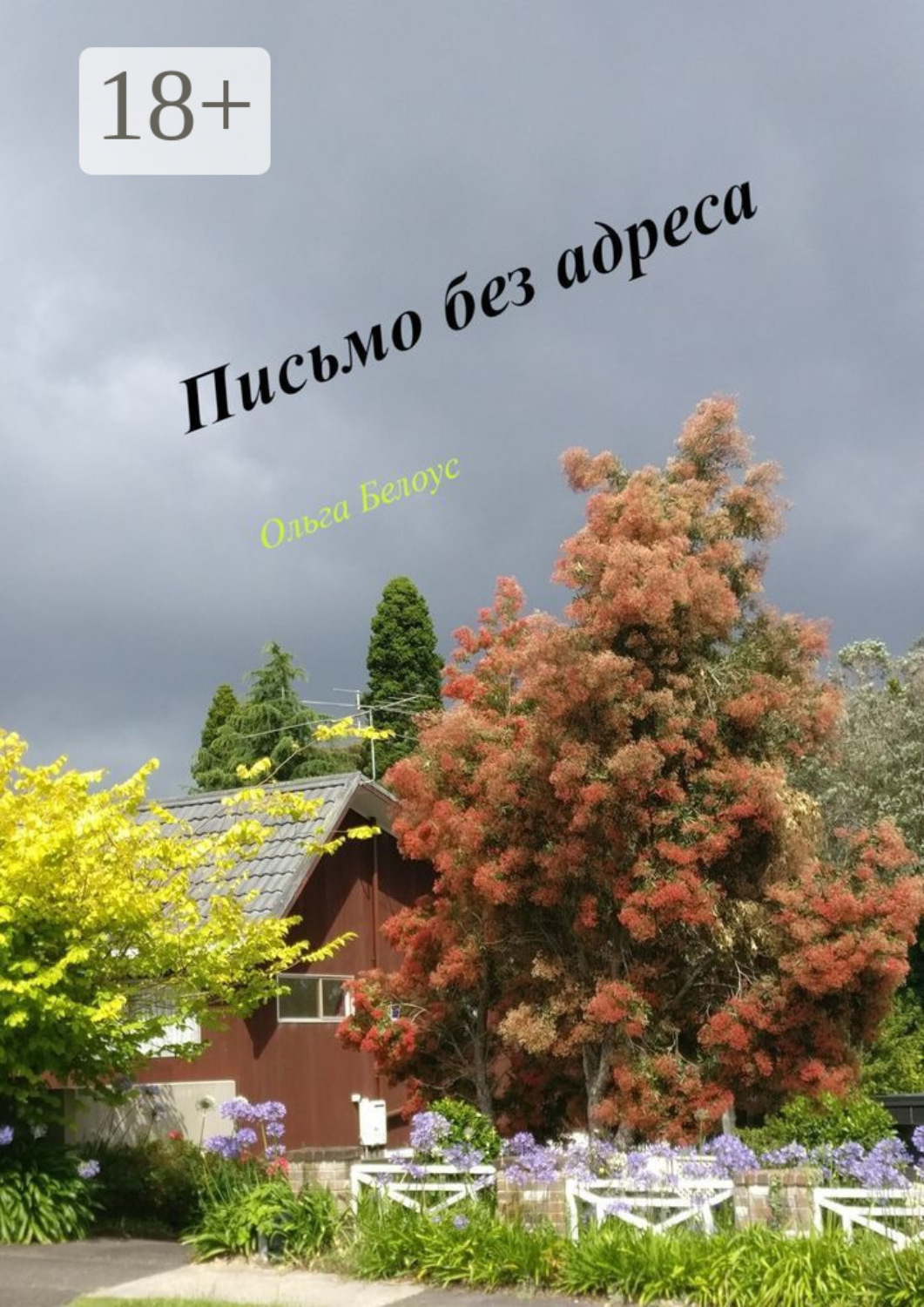 Обложка книги «Письмо без адреса»