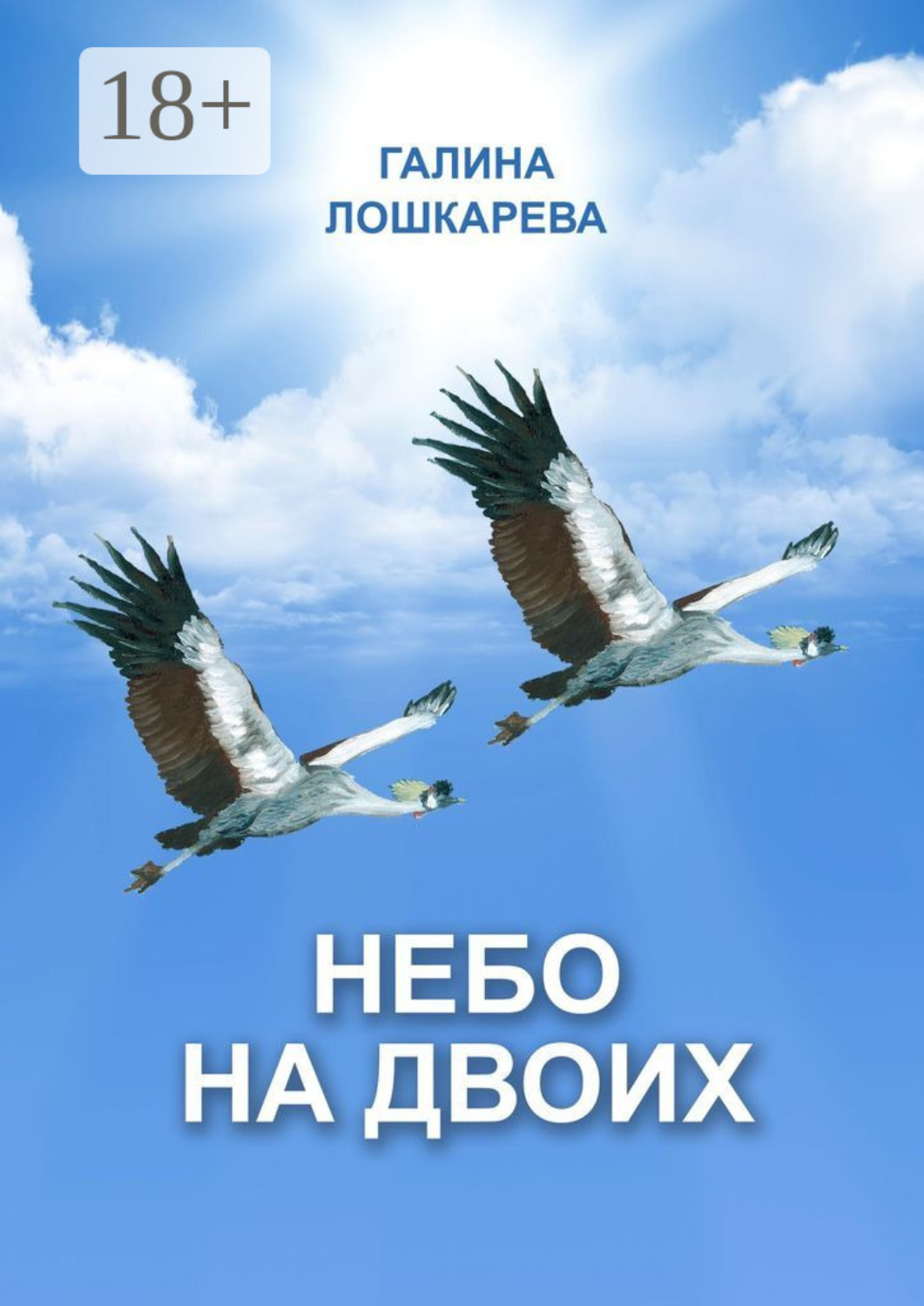 Обложка книги «Небо на двоих»