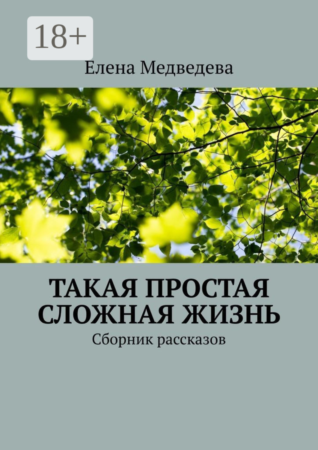 Обложка книги «Такая простая сложная жизнь. Сборник рассказов»