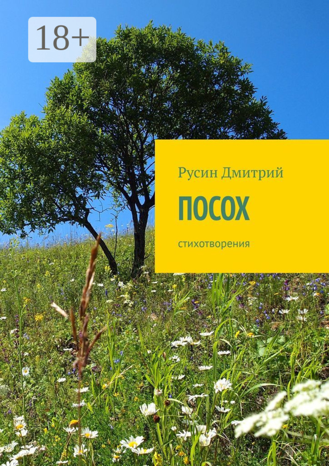 Обложка книги «Посох. Стихотворения»