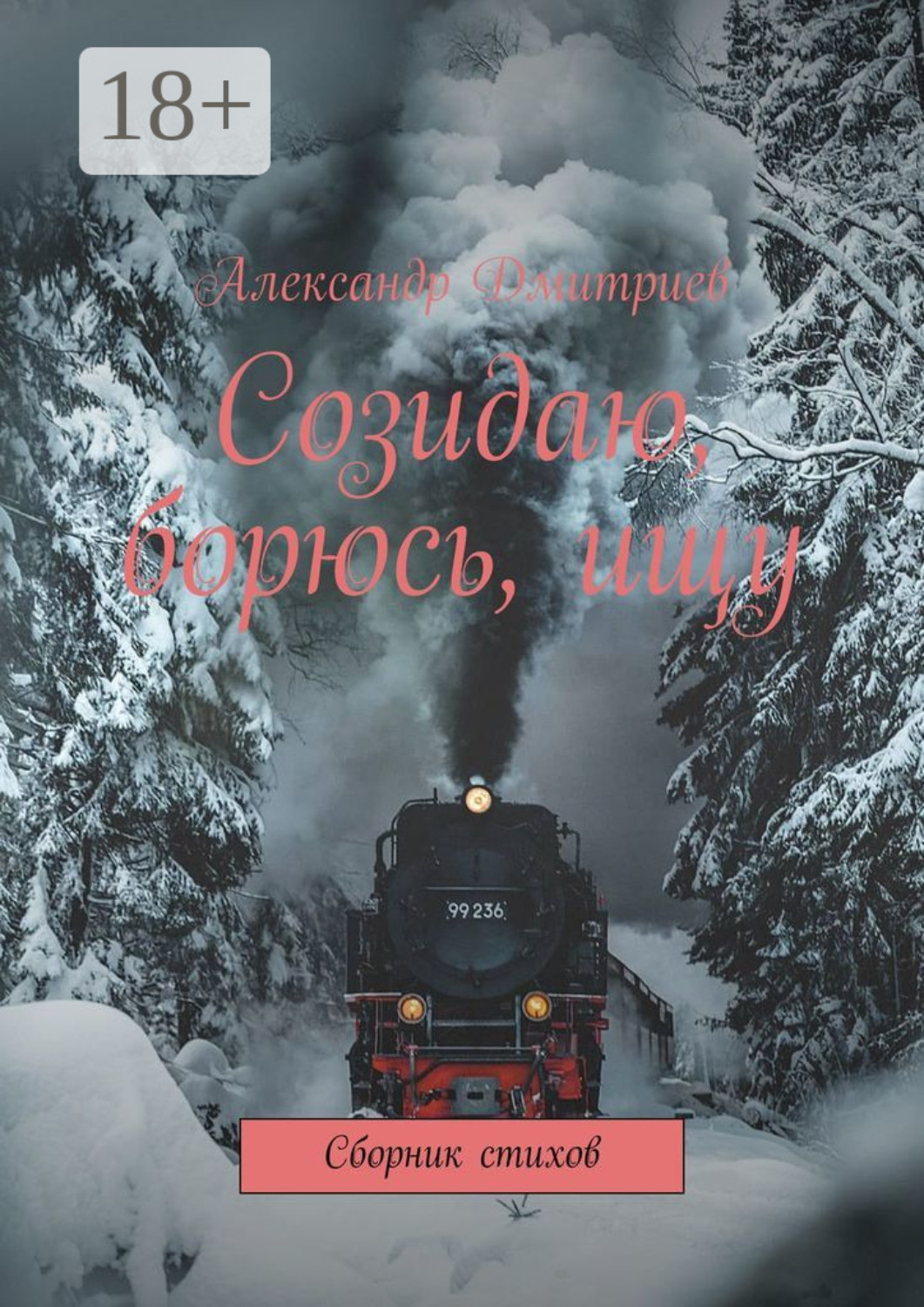 Обложка книги «Созидаю, борюсь, ищу. Сборник стихов»