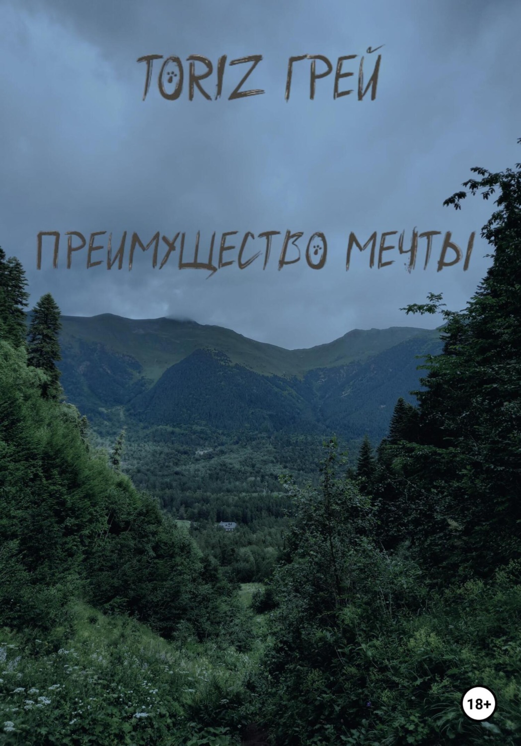 Обложка книги «Преимущество мечты»