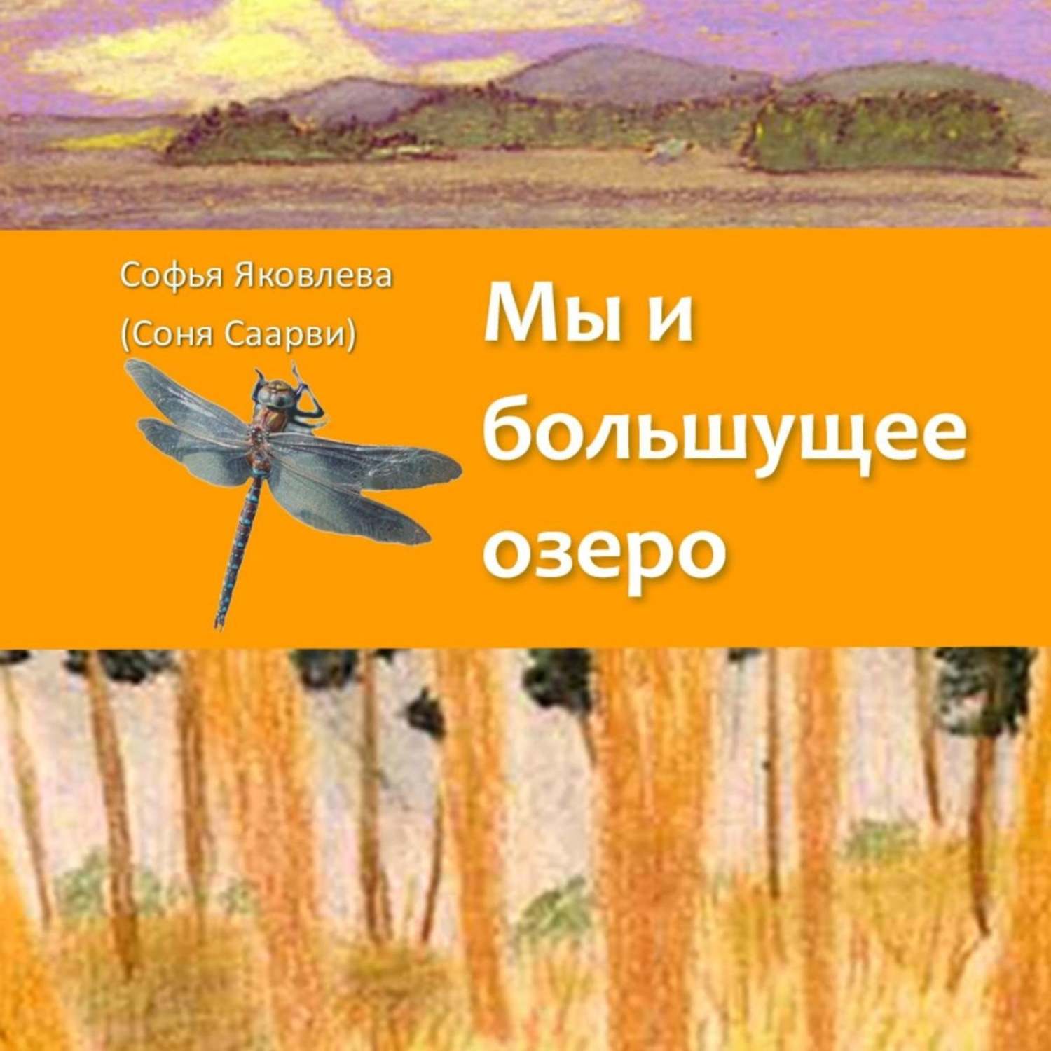 Обложка книги «Мы и большущее озеро»