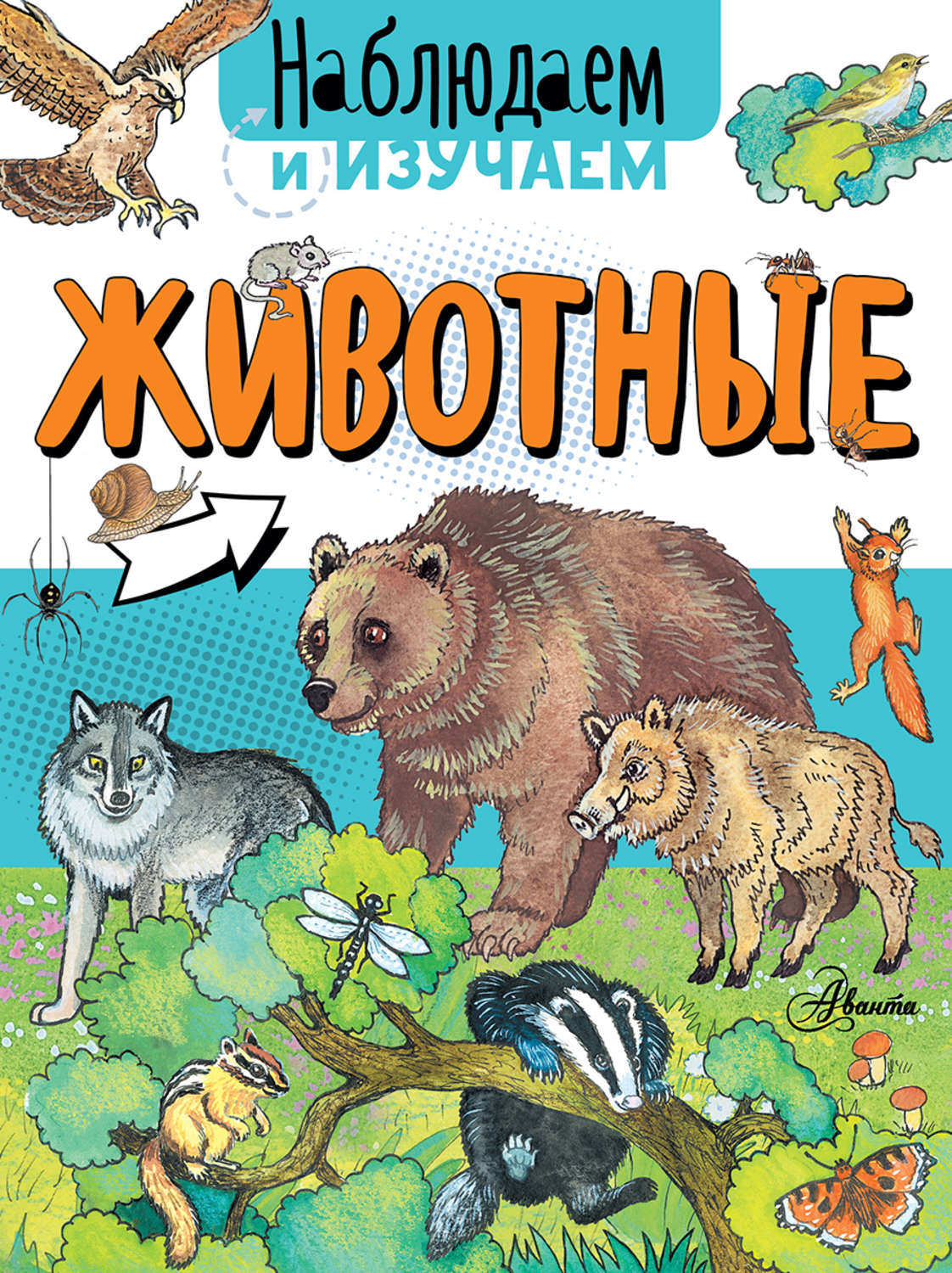 Обложка книги «Животные»