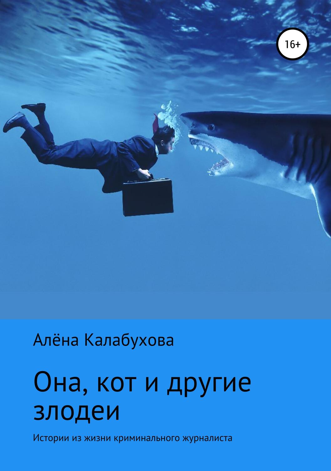 Обложка книги «Она, кот и другие злодеи»