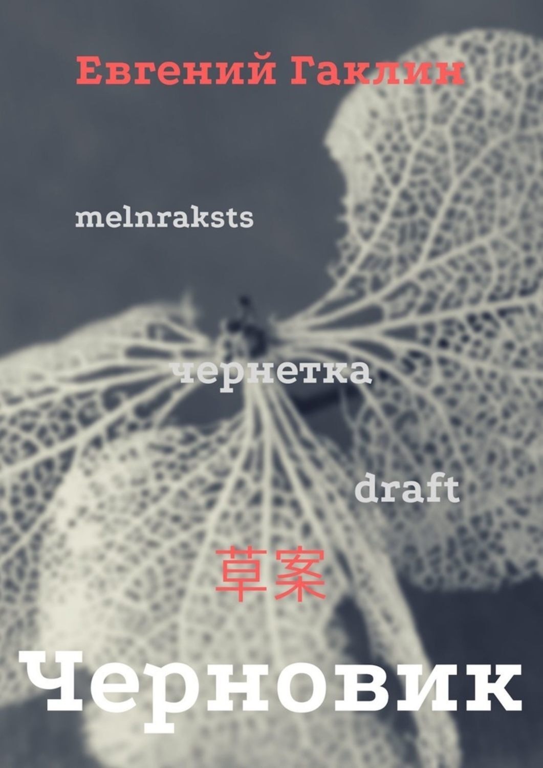 Обложка книги «Черновик»