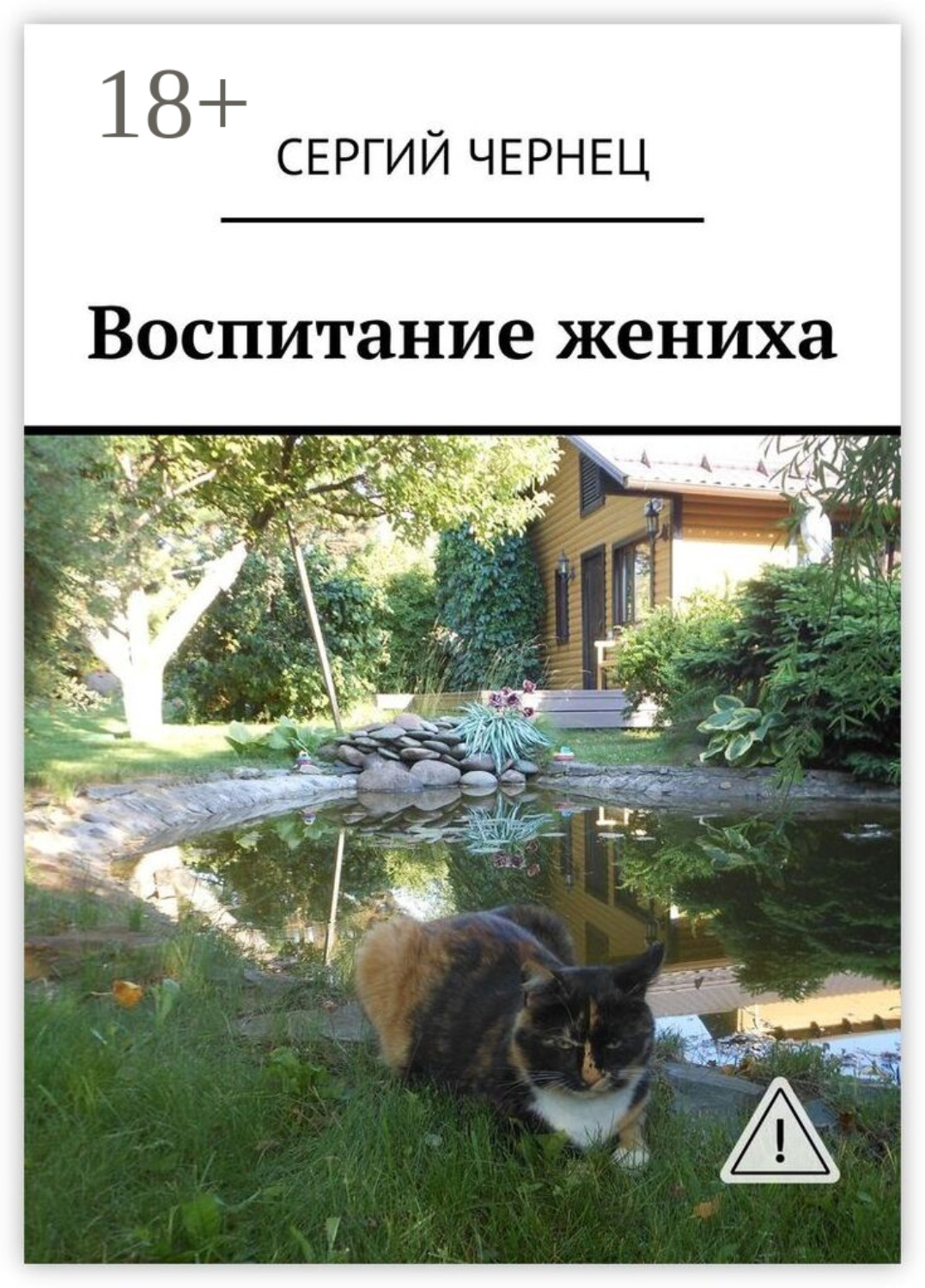 Обложка книги «Воспитание жениха»