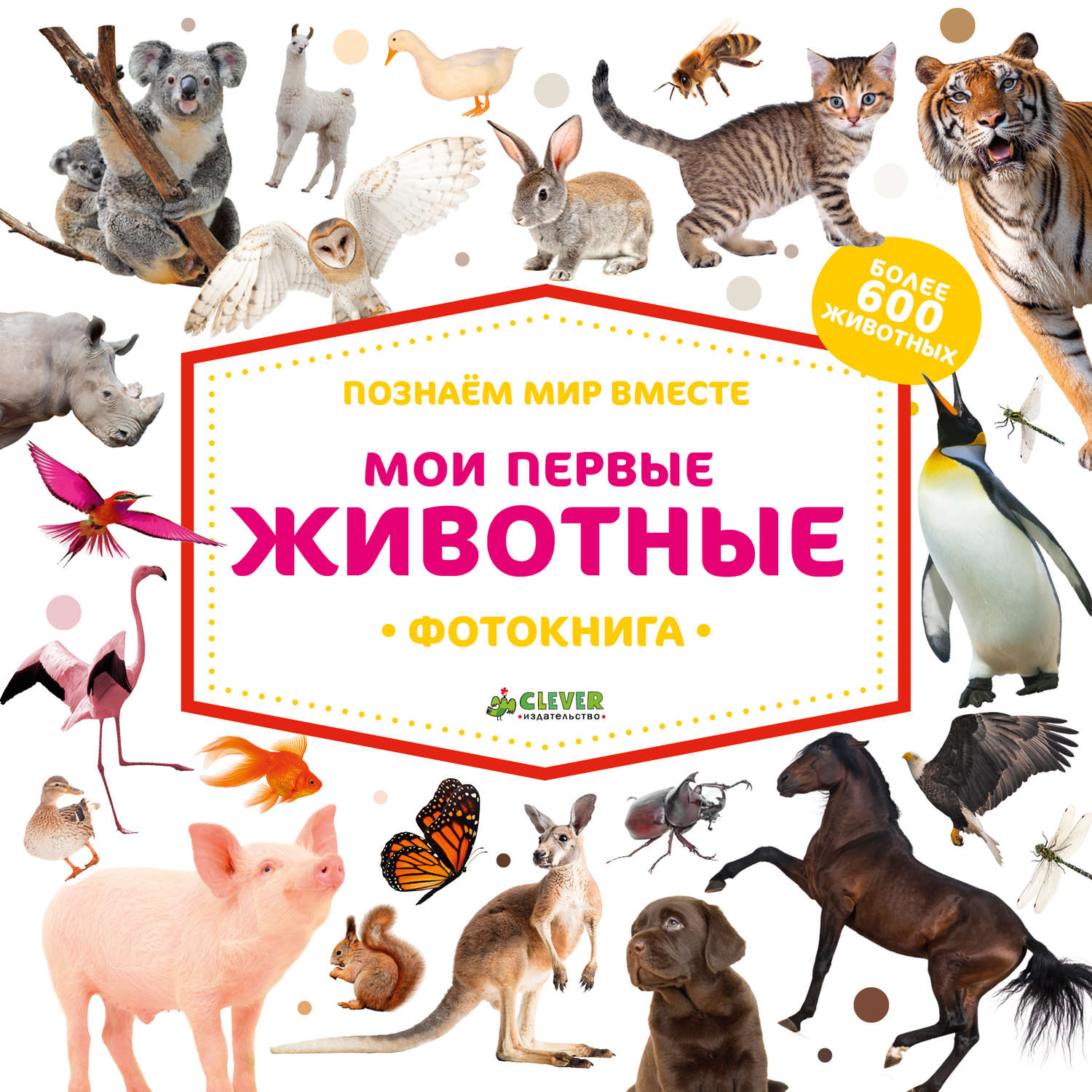 Обложка книги «Мои первые животные»