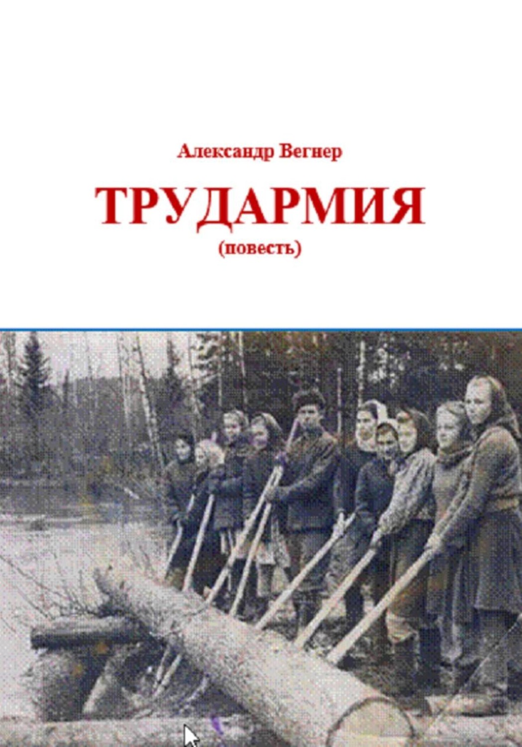 Обложка книги «Трудармия»