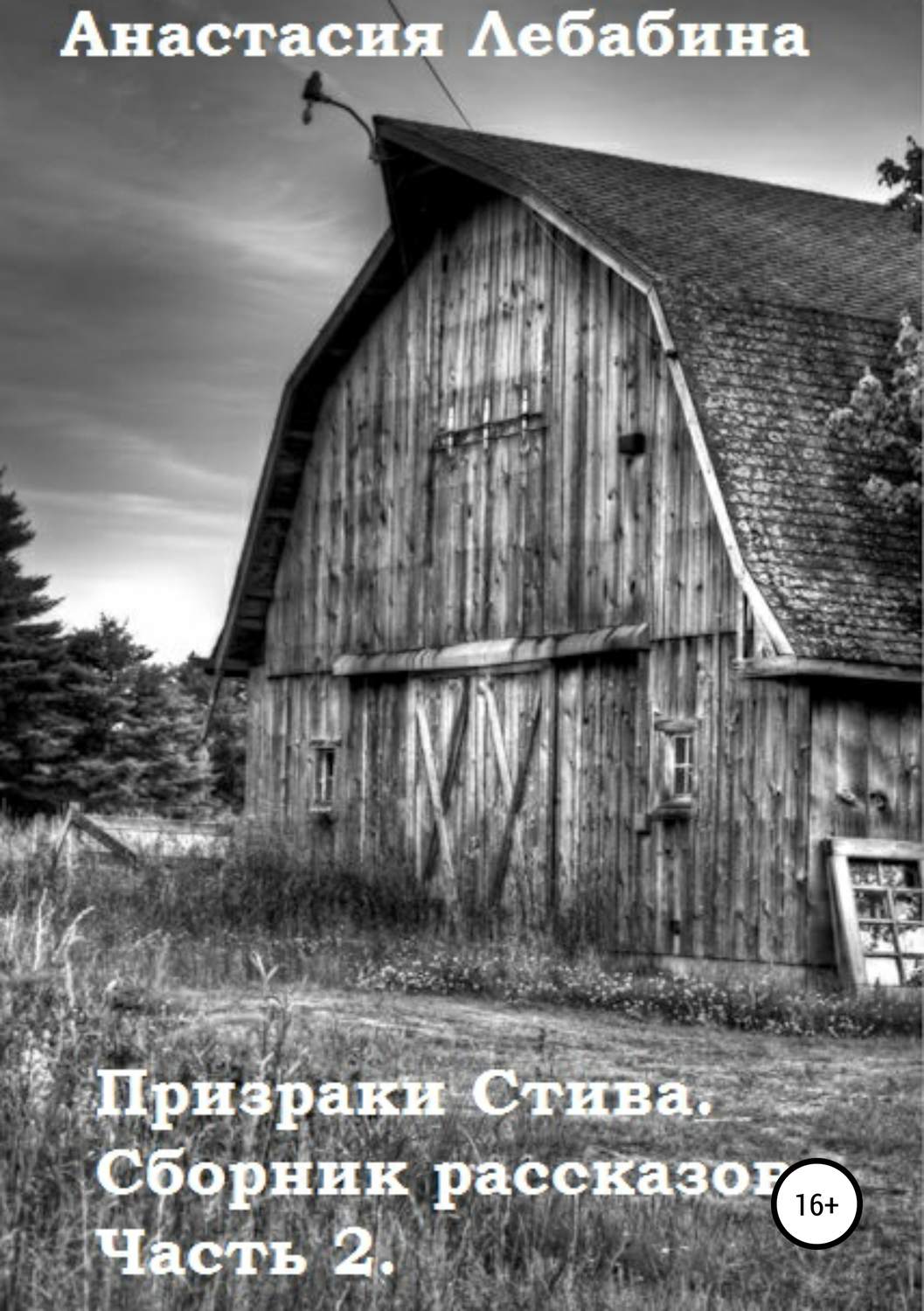 Обложка книги «Призраки Стива. Сборник рассказов. Часть 2»