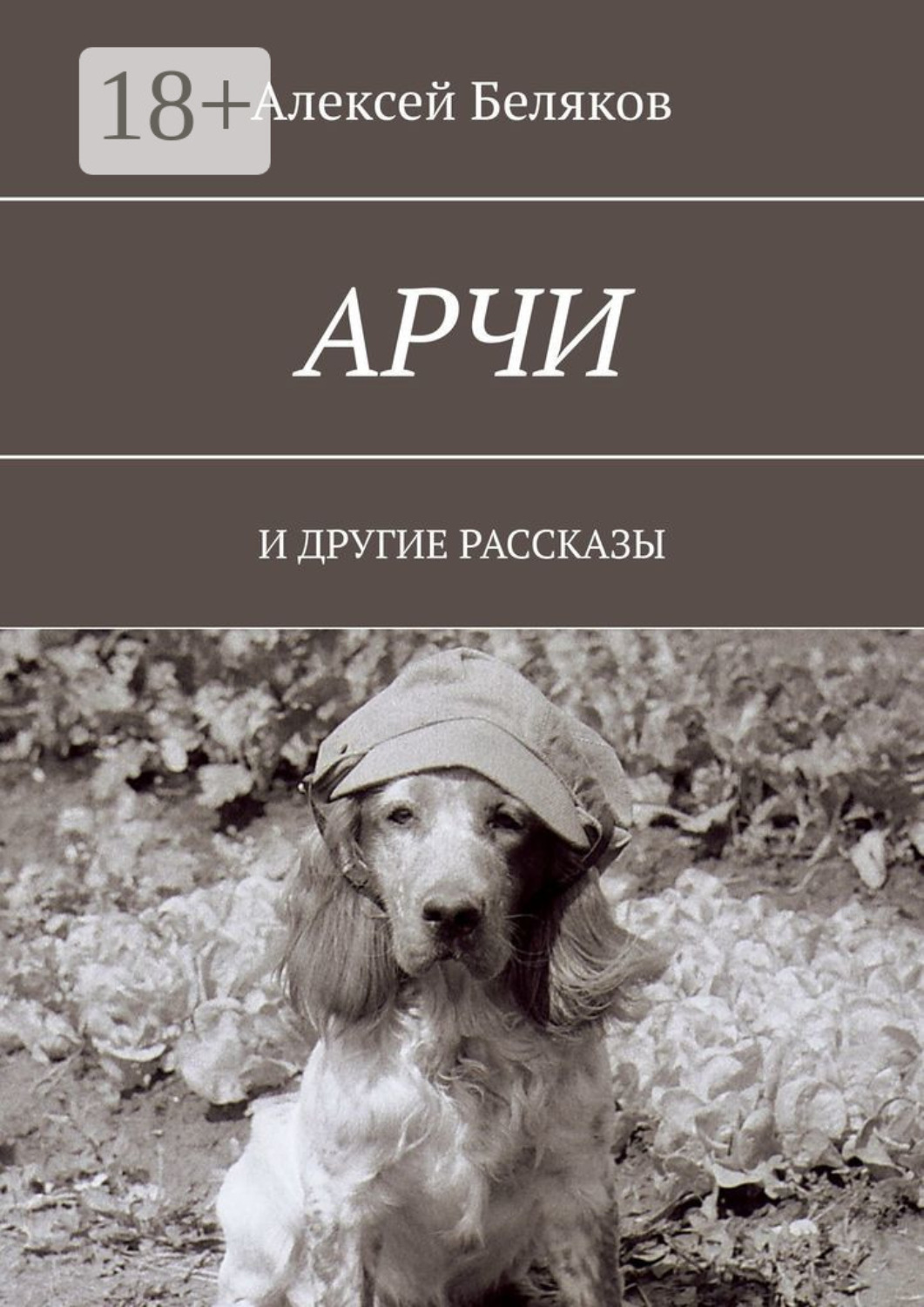Обложка книги «Арчи. И ДРУГИЕ РАССКАЗЫ»