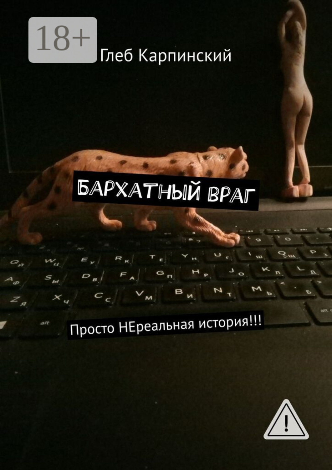 Обложка книги «Бархатный враг. Просто НЕреальная история!!!»