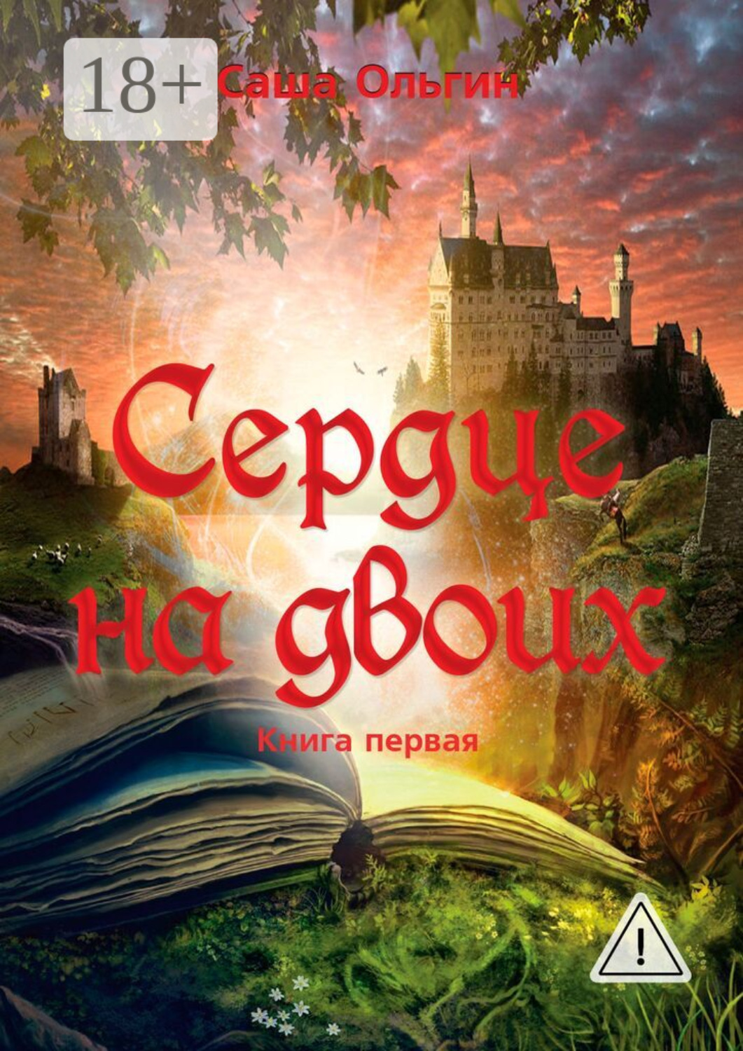Обложка книги «Сердце на двоих. Книга первая»
