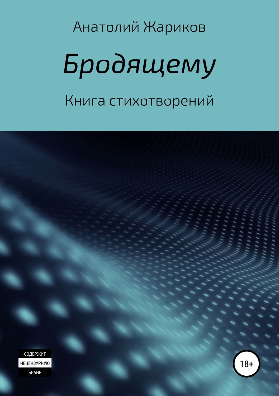 Обложка книги «Бродящему»