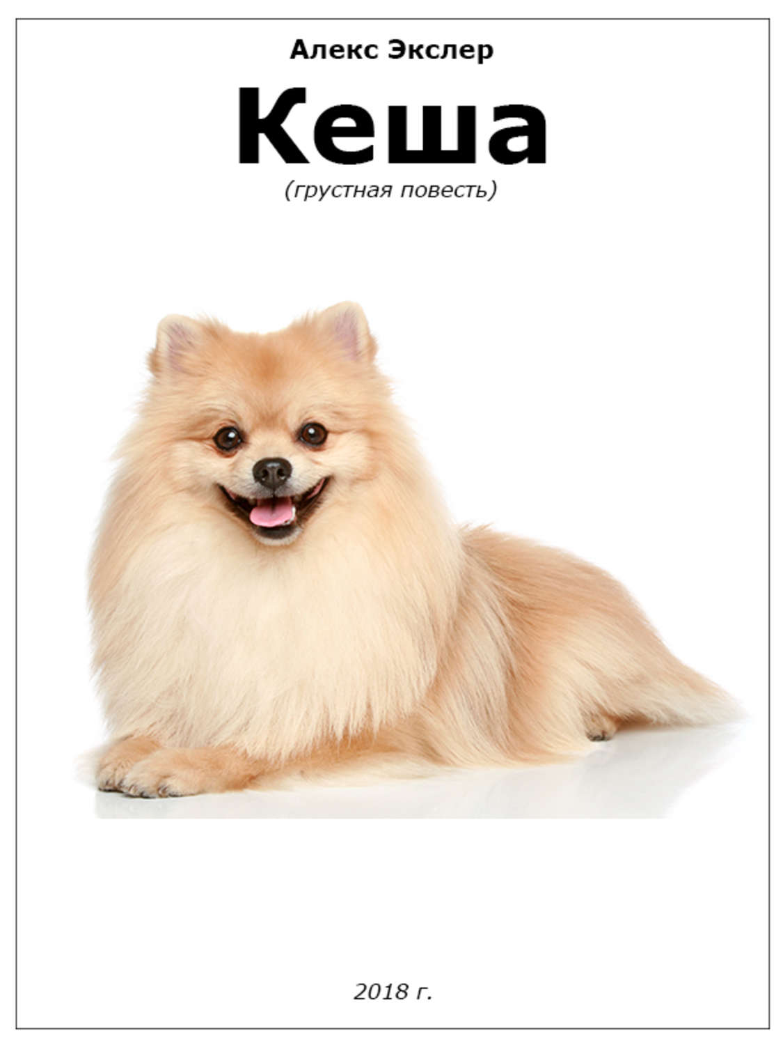 Обложка книги «Кеша»