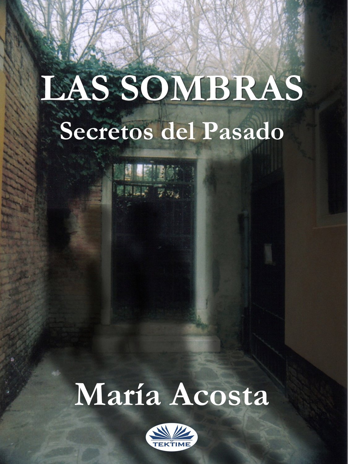 Обложка книги «Las Sombras»