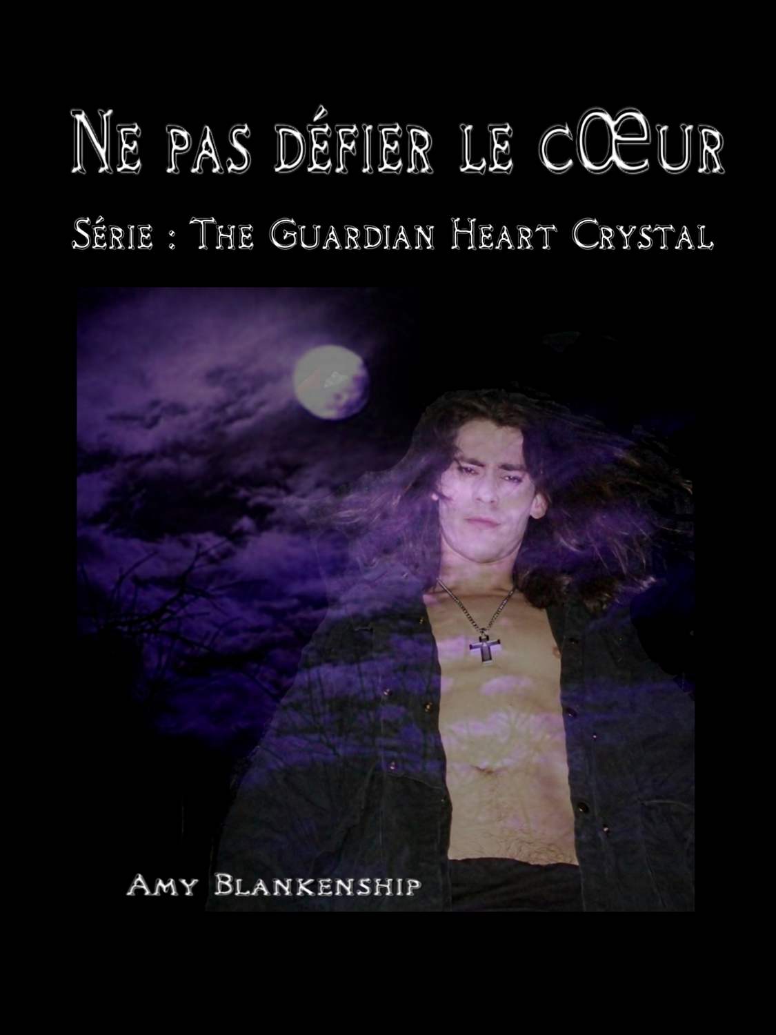 Обложка книги «Ne Pas Défier Le Cœur»