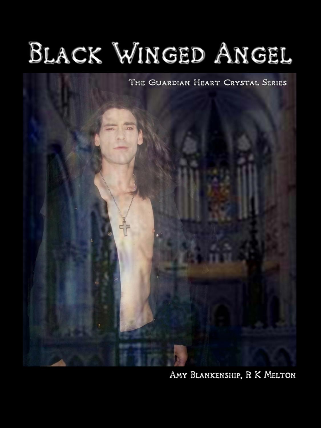 Обложка книги «Black Winged Angel»