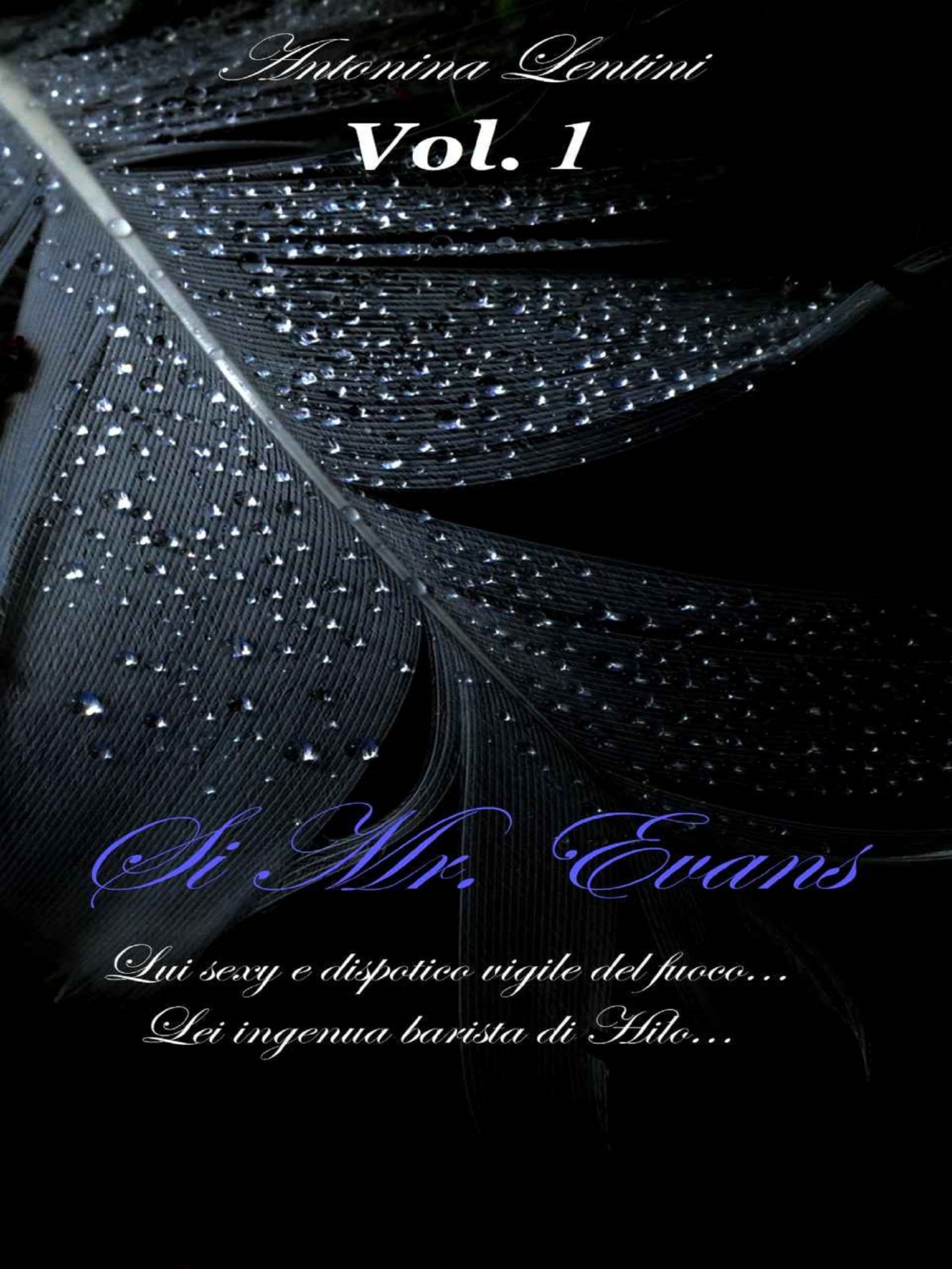 Обложка книги «Si Mr. Evans»