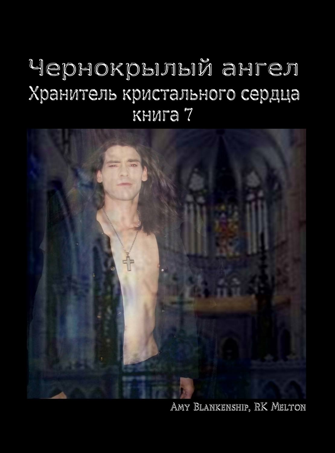 Обложка книги «Чернокрылый Ангел»