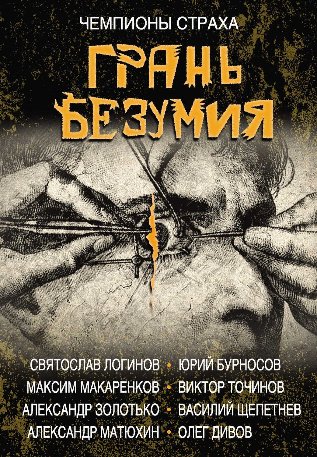 Обложка книги «Грань безумия»