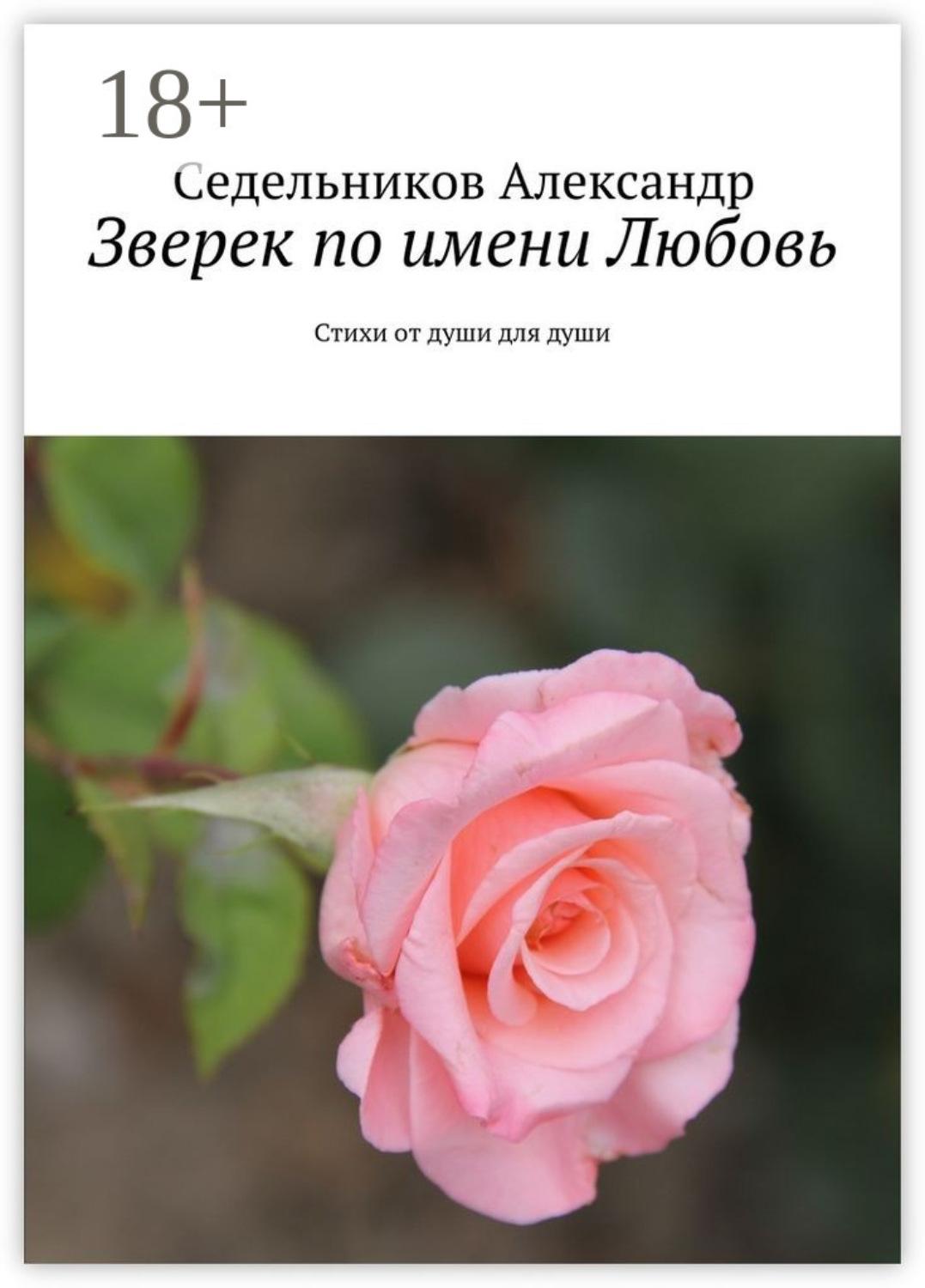 Обложка книги «Зверек по имени Любовь. Стихи от души для души»