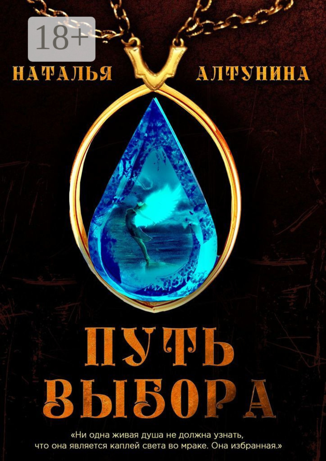 Обложка книги «Путь Выбора. Книга 1»