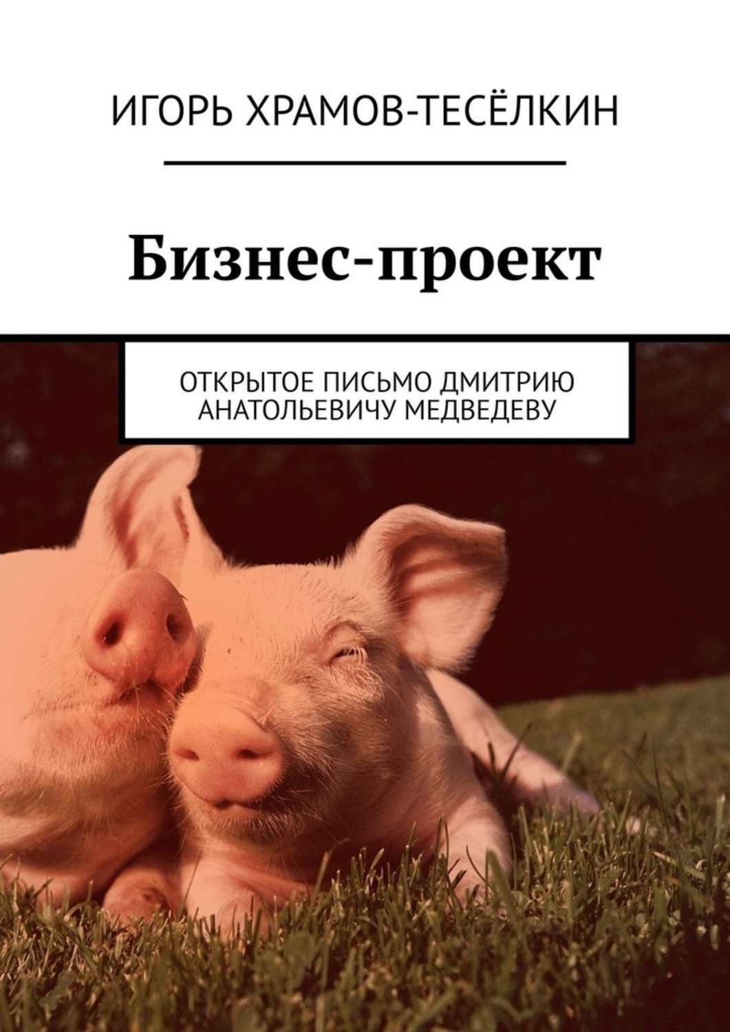 Обложка книги «Бизнес-проект. Открытое письмо Дмитрию Анатольевичу Медведеву»