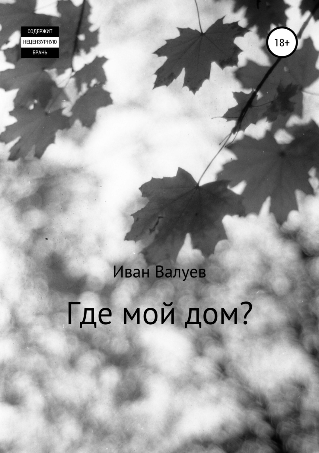 Обложка книги «Где мой дом?»