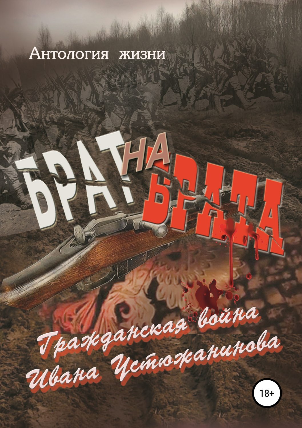 Обложка книги «Брат на брата»