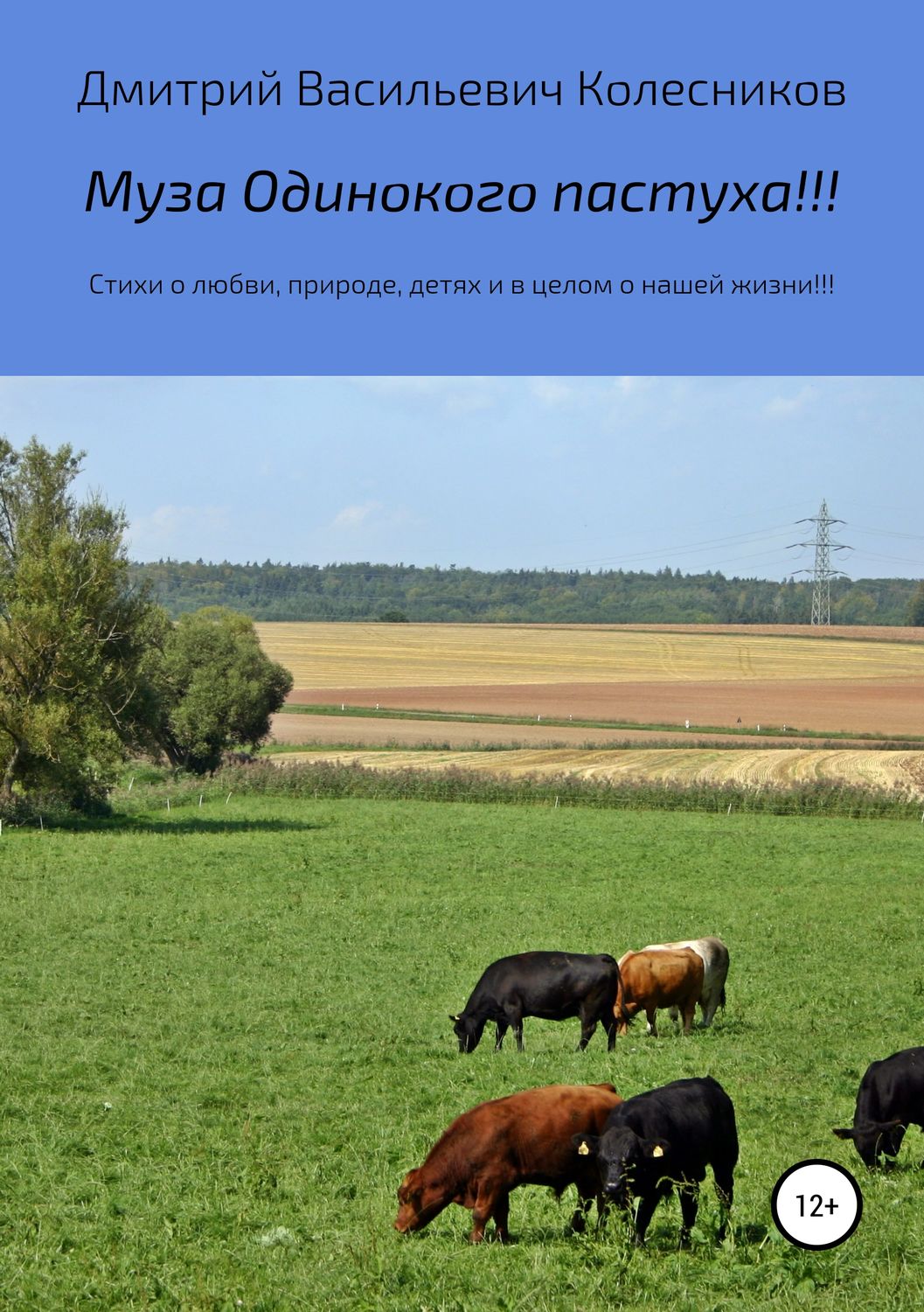 Обложка книги «Муза Одинокого пастуха!!!»
