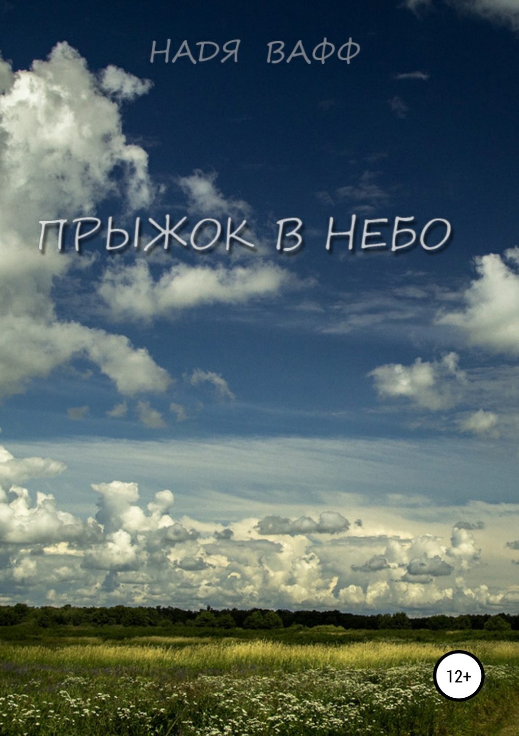 Обложка книги «Прыжок в небо»