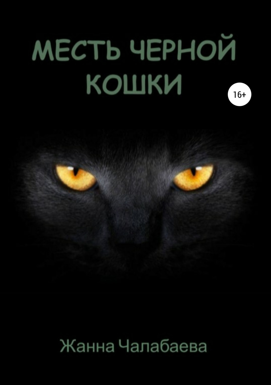 Обложка книги «Месть черной кошки»