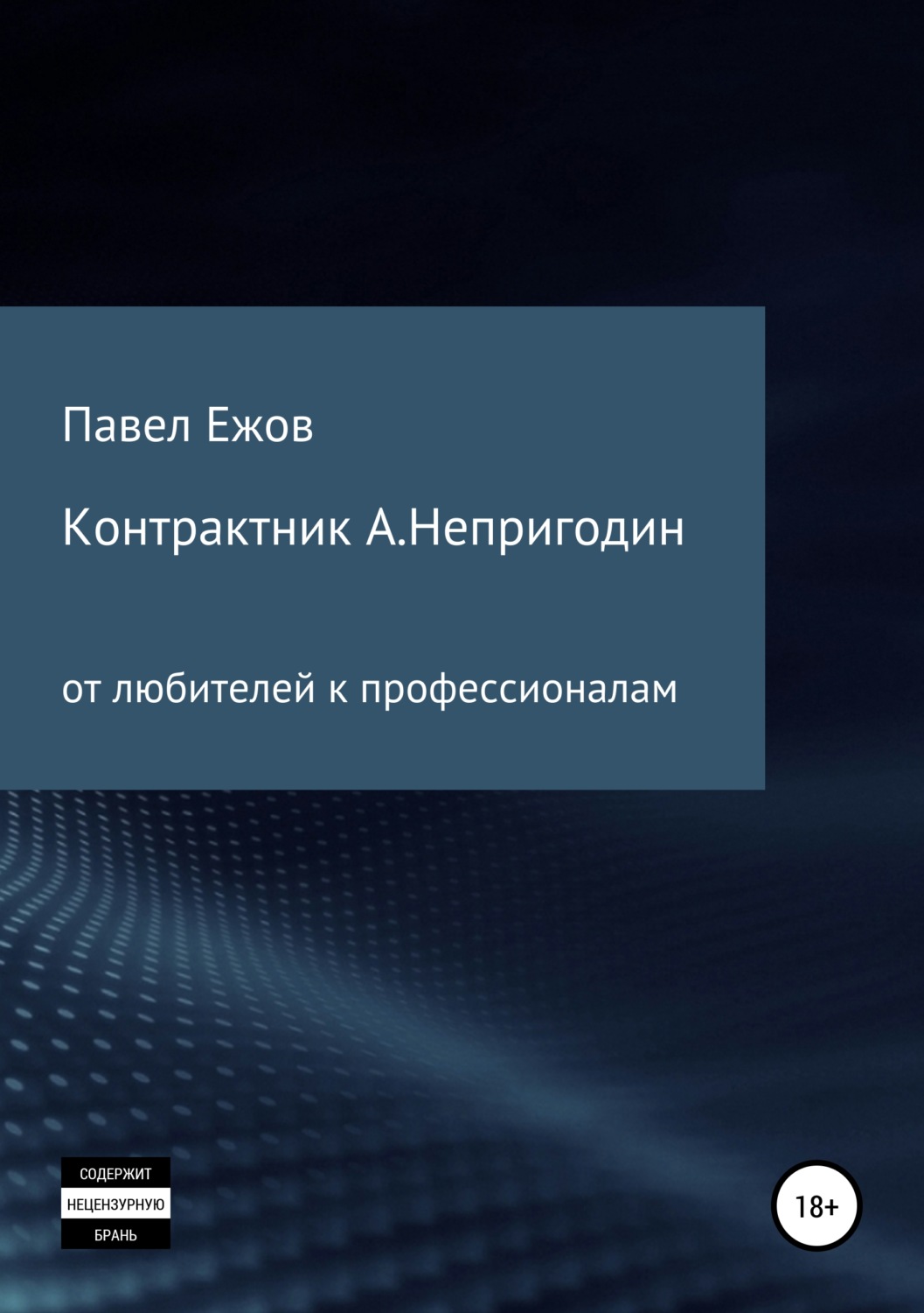 Обложка книги «Контрактник А.Непригодин»