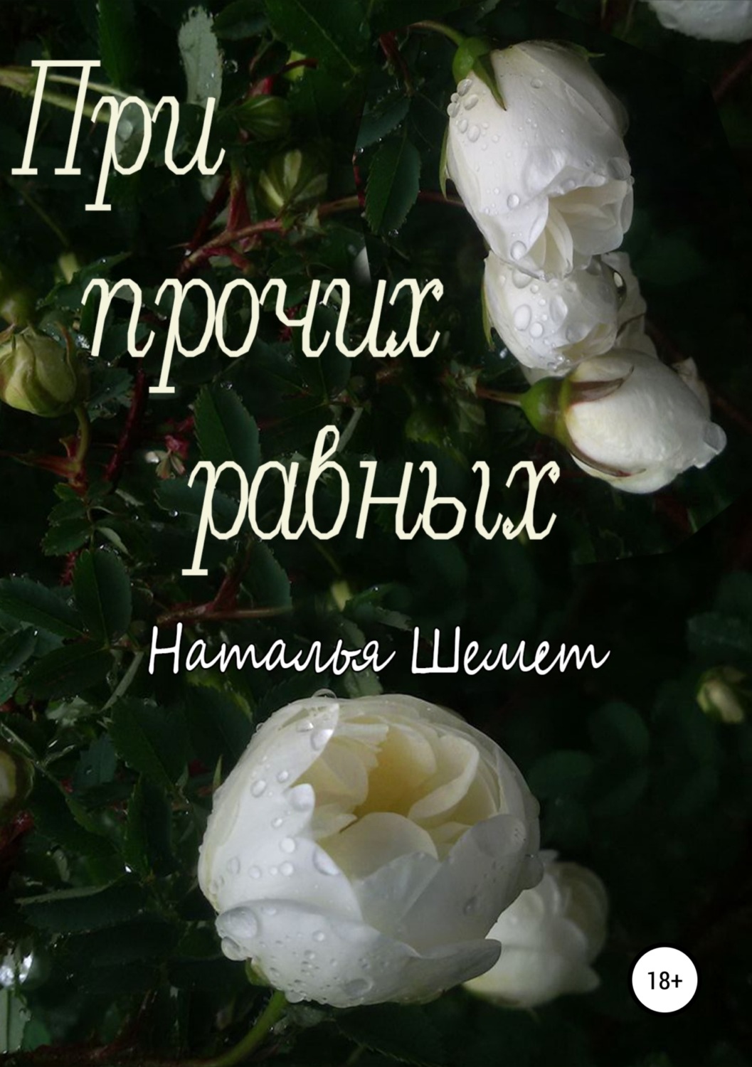 Обложка книги «При прочих равных»