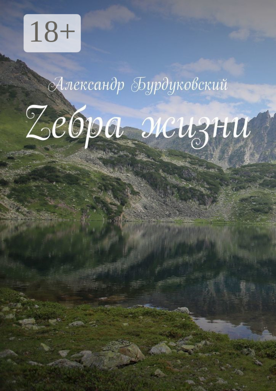 Обложка книги «Zебра жизни»