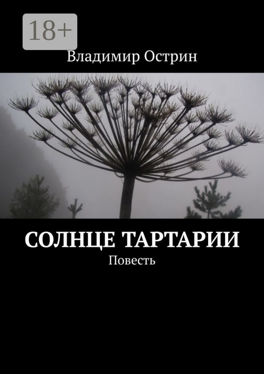 Обложка книги «Солнце Тартарии. Повесть»